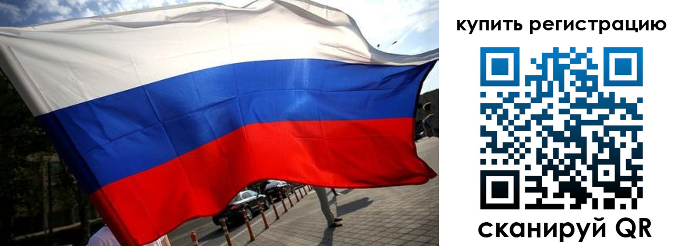 прописка поиск в Кингисеппе